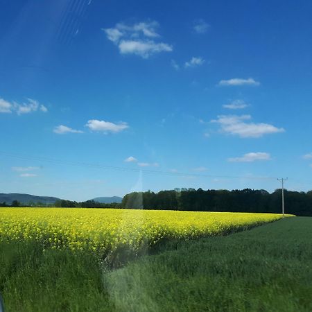 Agroturystyka "Jagap" Oaza Spokoju Dzierżoniów Eksteriør billede