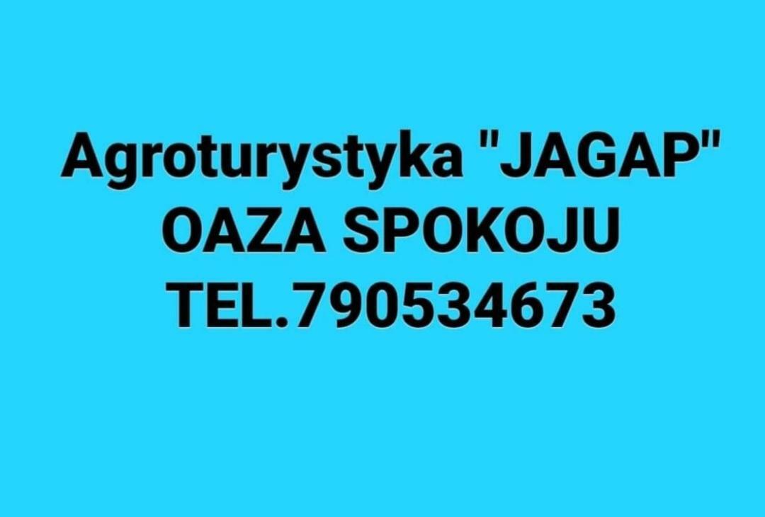 Agroturystyka "Jagap" Oaza Spokoju Dzierżoniów Eksteriør billede