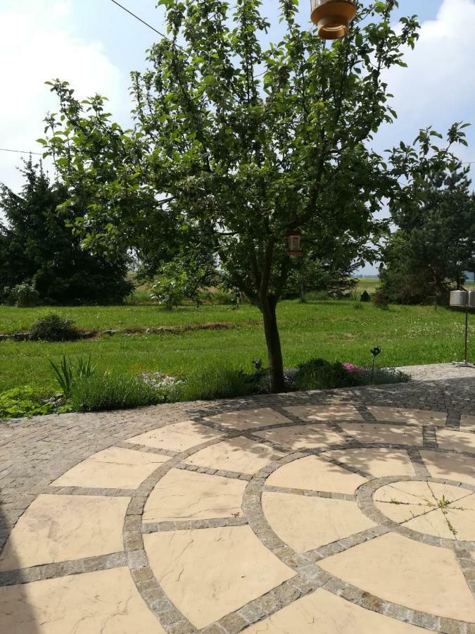 Agroturystyka "Jagap" Oaza Spokoju Dzierżoniów Eksteriør billede
